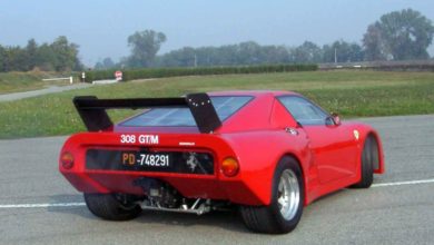 Photo of VIDEO Gallery – Ferrari 308 IMSA