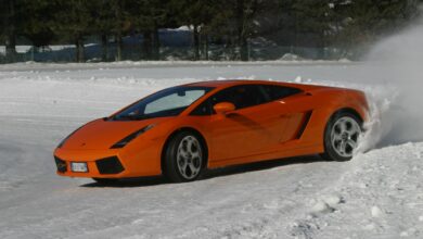 Photo of VIDEO Collection – Lamborghini Gallardo 20th